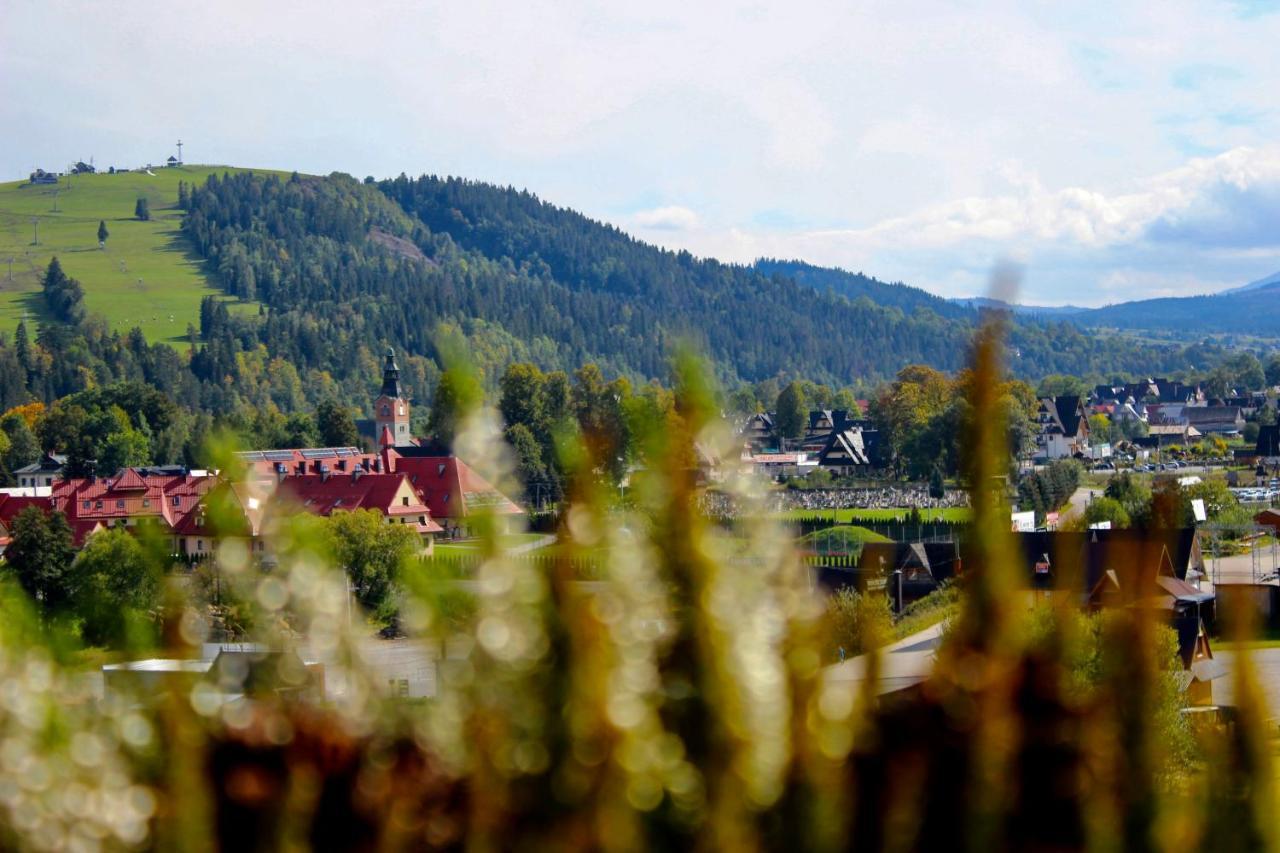 Domki W Bialce Pod Kotelnica Bialka Tatrzanska Eksteriør billede